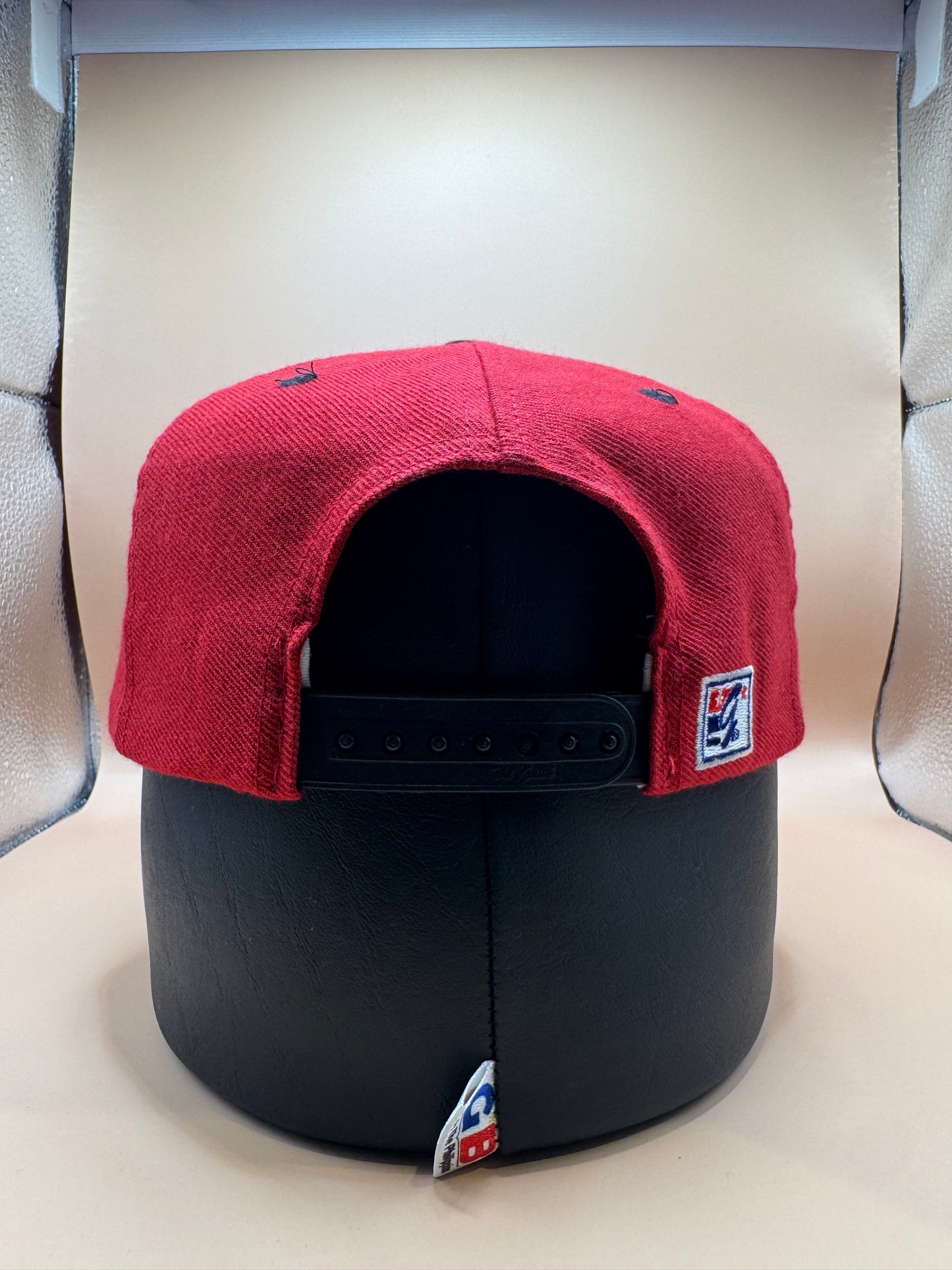 90s Gamecock Hat