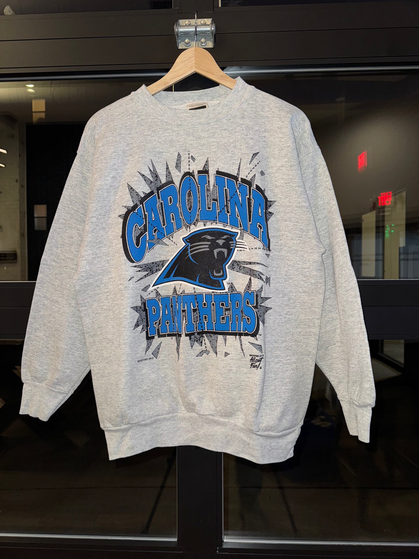 90s Panthers Crewneck